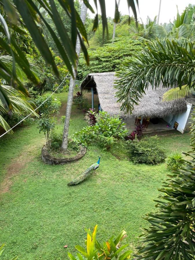 Hiru Villa Тангалла Экстерьер фото